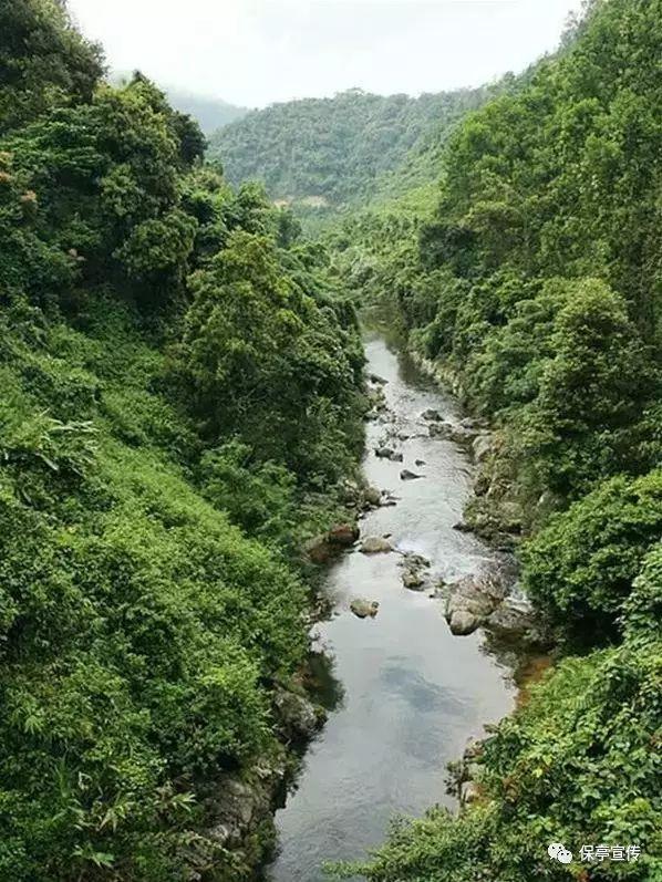 逛吃游！兖州邀你过年打卡网红小镇｜回村过大年·文化济宁